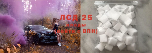 apvp Гусев