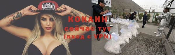 apvp Гусев