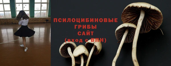 молекула духа Гусь-Хрустальный