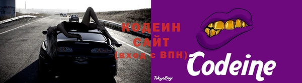 apvp Гусев