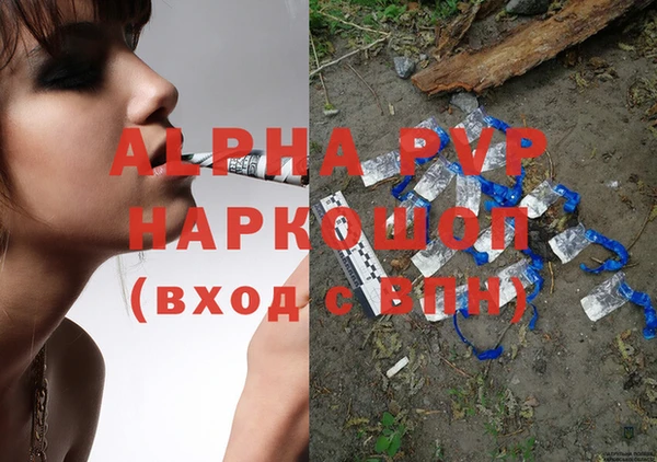 apvp Гусев