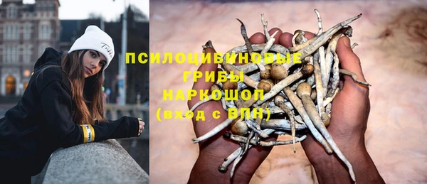 apvp Гусев