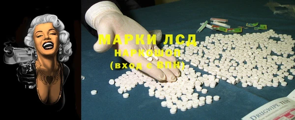 индика Горнозаводск