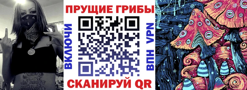 наркота ОМГ ОМГ ССЫЛКА Псилоцибиновые грибы Psilocybe Ермолино